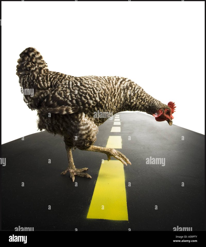 Een Onderzoek naar de Belofte van Chicken Road Casino in Nederland - overview