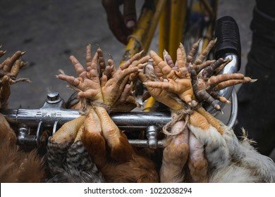 Chicken road - Ontdek het Avontuur van Chicken Road online casino in Nederland